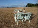 Picture of Pine Farmhouse Table and 4 Fiddleback Chairs