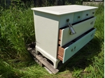 Picture of Stag 6 Drawer Chest of Drawers