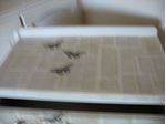 Picture of Shabby Chic Decoupaged 3 Drawer Chest