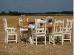 Picture of Huge Rustic Outdoor Dining Set