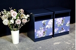 Picture of Pair of Vintage Avalon Bedside Drawers