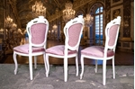 Picture of French Style Designer Upholstered Dining Set in Pointing
